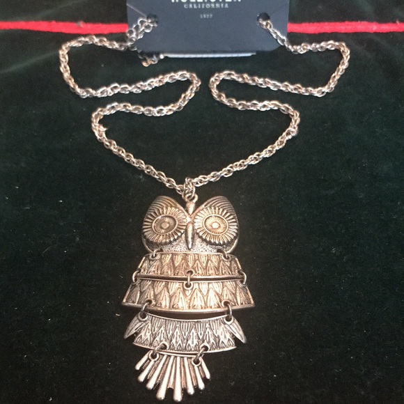 NWT 24”Hollister Necklace with super cute owl earrings. 2 sets of 2 (Sku 116) - Picture 2 of 5